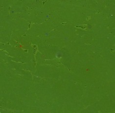 Pastel Green UV  935 .61oz/18ml  