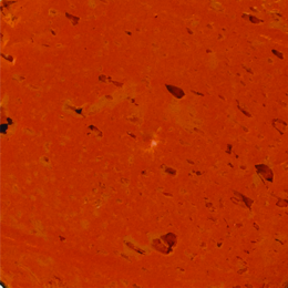 Burnt Orange 680 - 2.53oz/75ml 