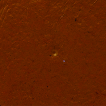 Copper Metallic M830 .61oz/18ml 