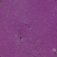 Lilac 760 .61oz/18ml - 18M760